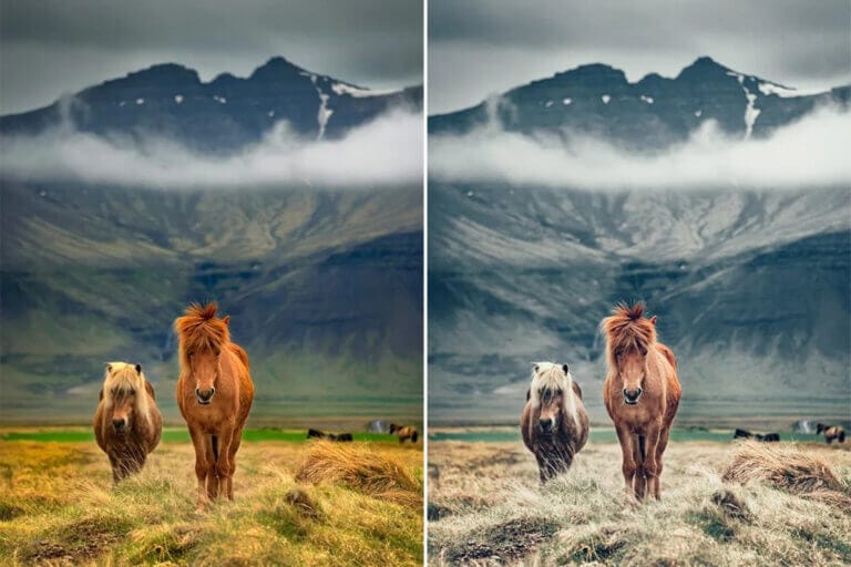 Adventure Preset Collection - Image 6