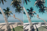 Bali Preset Collection - Image 5