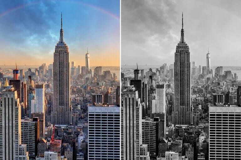 Black & White Preset Collection - Image 5