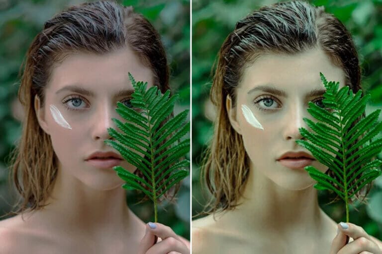 Cactus Preset Collection - Image 6