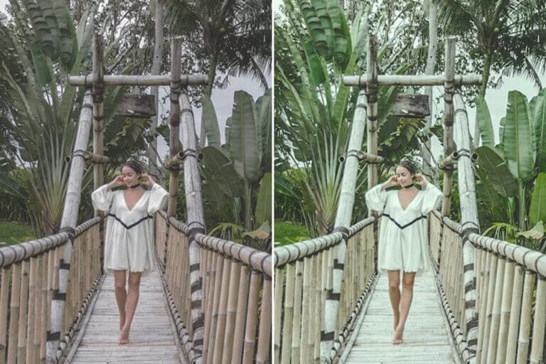 Cactus Preset Collection - Image 5