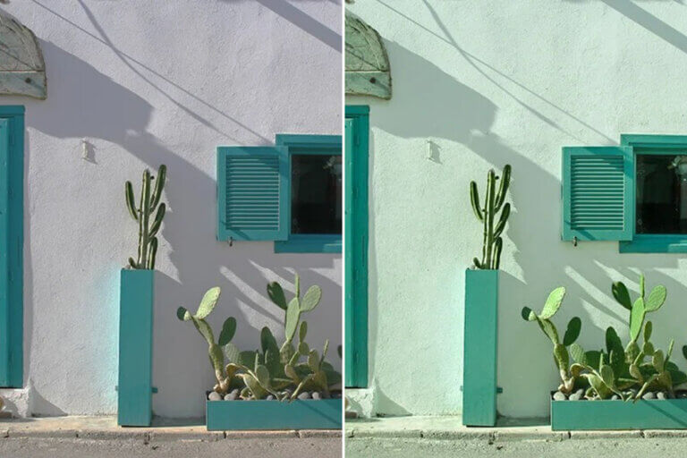 Cactus Preset Collection - Image 4