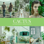 Cactus Preset Collection