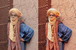 Camel Preset Collection - Image 6