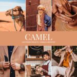 Camel Preset Collection