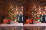 Christmas Preset Collection