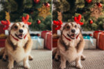 Christmas Preset Collection - Image 3