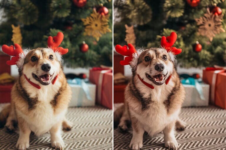 Christmas Preset Collection - Image 3