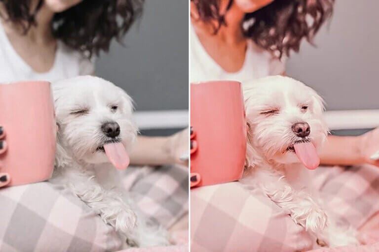 Cotton Candy Preset Collection - Image 4