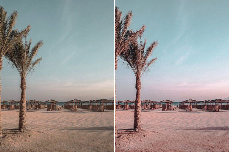 Desert Camel Preset Collection