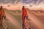 Desert Camel Preset Collection - Image 5