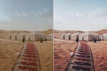 Desert Camel Preset Collection - Image 4