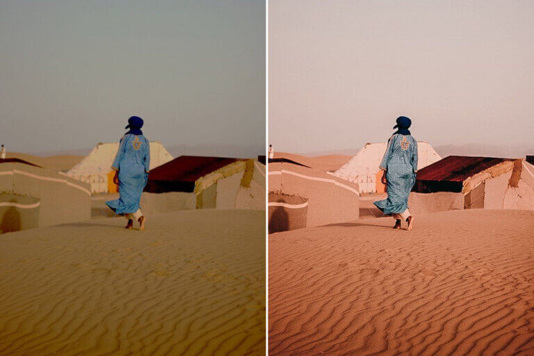 Desert Camel Preset Collection - Image 3