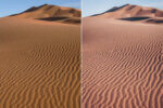Desert Camel Preset Collection - Image 2