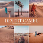 Desert Camel Preset Collection