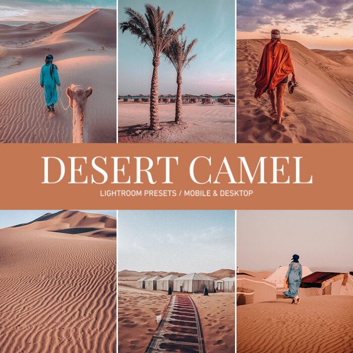 Desert Camel Preset Collection