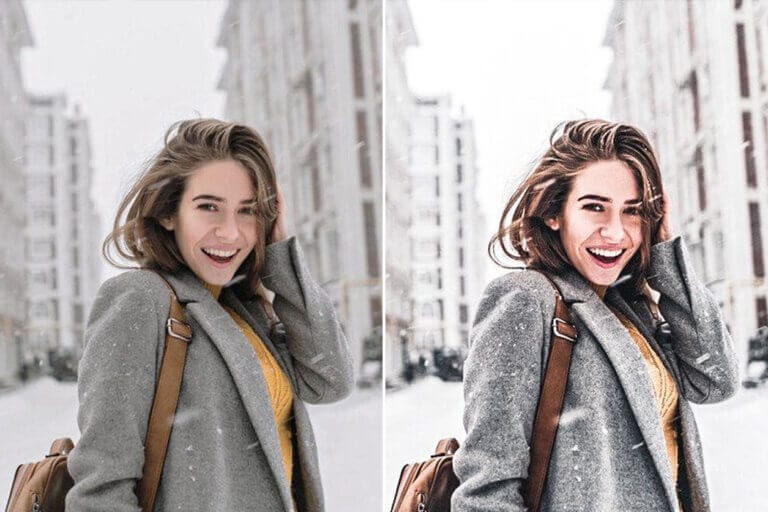 Grey Tone Preset Collection - Image 5