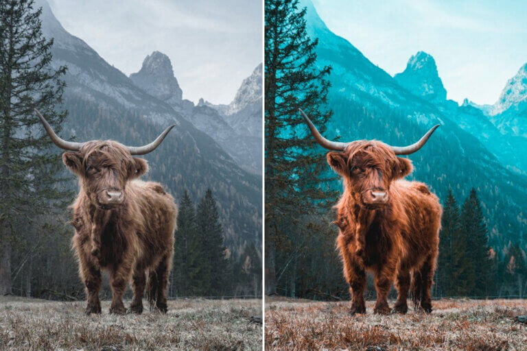 Orange & Teal Preset Collection - Image 5