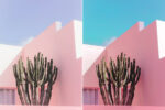 Pinky Mood Preset Collection - Image 7