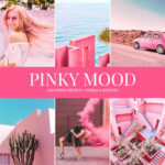 Pinky Mood Preset Collection
