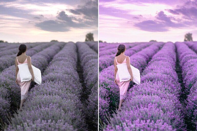 Purple Tone Preset Collection