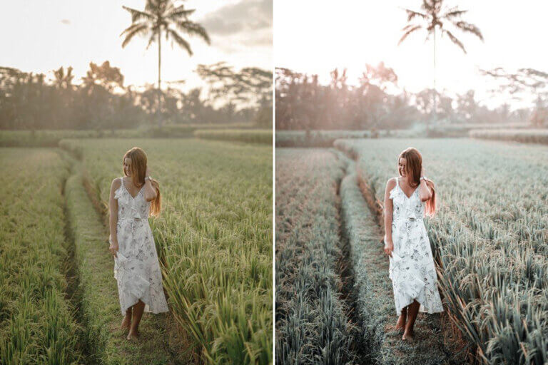 Soft Tone Preset Collection - Image 3