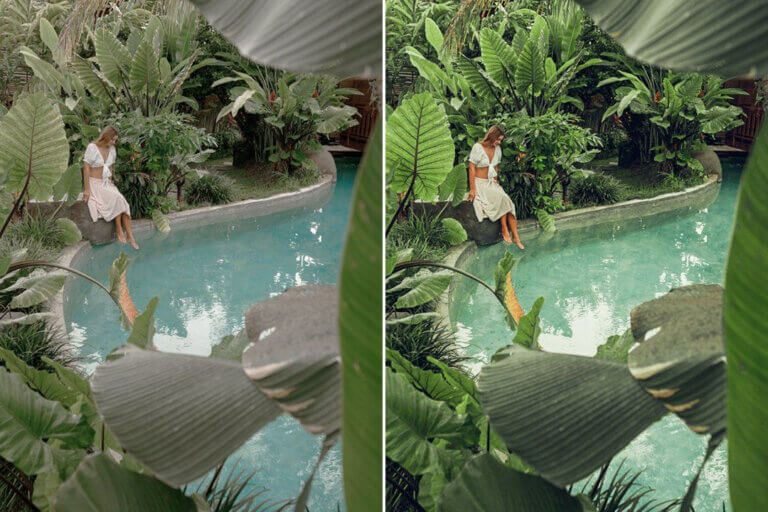 Tropical Preset Collection - Image 3