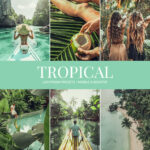 Tropical Preset Collection