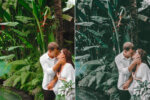 Tropical Forest Preset Collection - Image 5