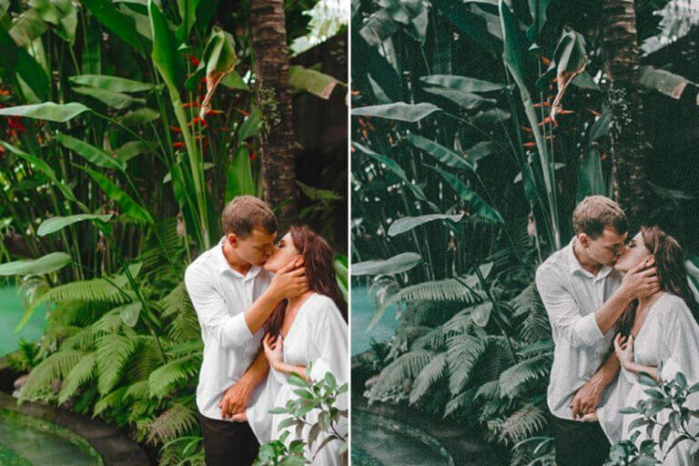 Tropical Forest Preset Collection - Image 5