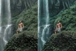 Tropical Forest Preset Collection - Image 4