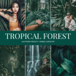 Tropical Forest Preset Collection