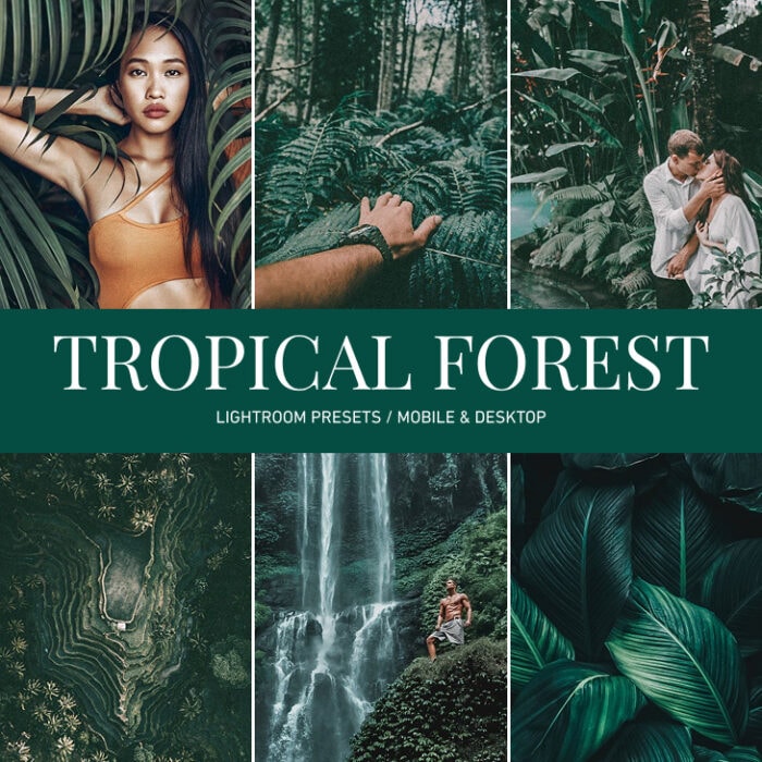 Tropical Forest Preset Collection