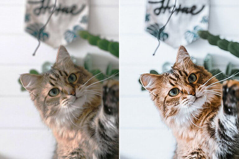 Vanguard Preset Collection - Image 6