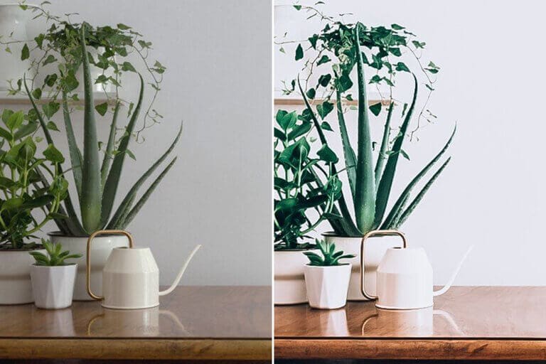 White Tone Preset Collection - Image 6